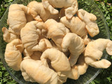 Medialunas saladas