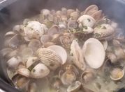 Une photo de coques ail et persil