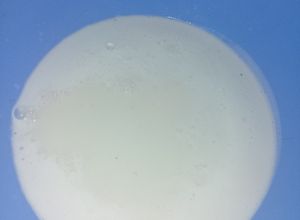 Una foto de Leche vegana de coco