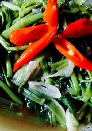 Foto resep Tumis kangkung saos tiram