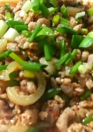 รูปของ ลาบหมู