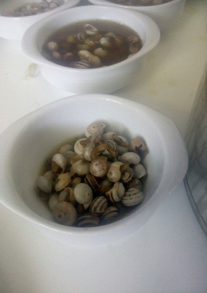Una foto de Caracoles. estilo picante