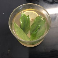 Ginger Mint Lemon Sharbat A picture of Ginger Mint Lemon Sharbat.