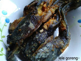 Lele goreng(tips lele tak berlendir)