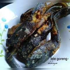 A picture of Lele goreng(tips lele tak berlendir).