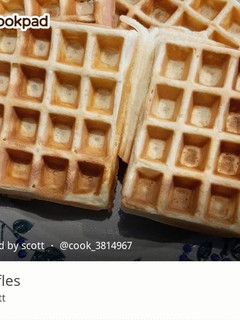 A picture of Waffles.