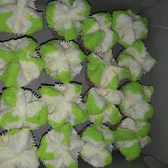 รูปของ Bolu kukus simple