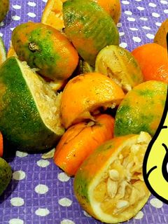 عکسی از دستور دور نریزیم🍊