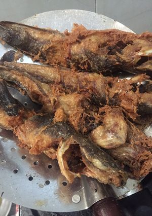 Foto resep Lele goreng crispy ala Hesti