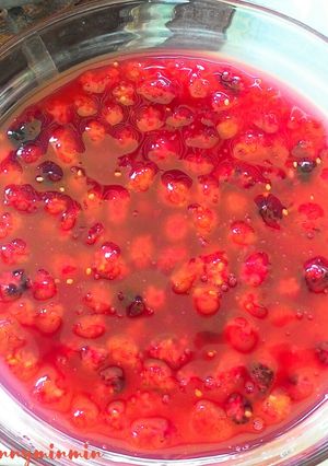 รูปของ Mulberry sauce ซอสหม่อน