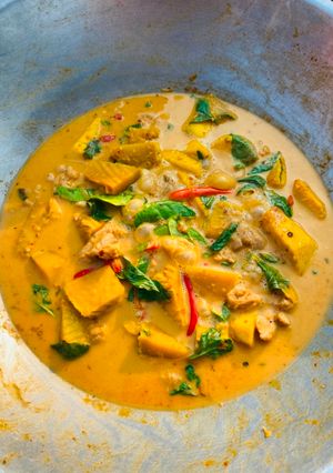 A picture of Red Curry with Pumpkin and Chicken.