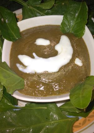 पालक का सूप(Palak ka soup recipe in Hindi) रेसिपी मुख्य फोटो