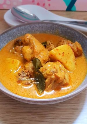 A picture of Chinese Chicken Curry.