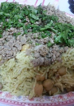 صورة لوصفة طريقة عمل القدرة الفلسطينية