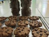 Cookies chocochips x cappucino