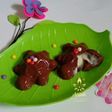 Puding Turtle Choco Lava