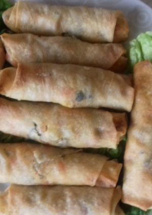 A picture of Baked chicken and vegetable spring rolls.