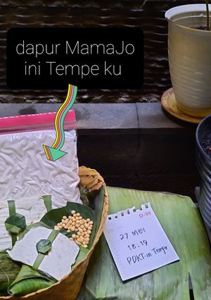 Foto resep Tempe Homemade 💌 (edisi PDKT)