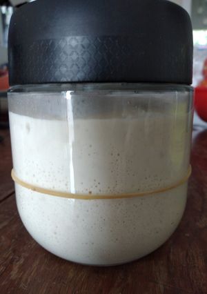 Foto resep Sourdough starter/Ragi alami