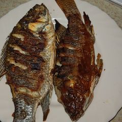 A picture of Simple grilled Tilapia.