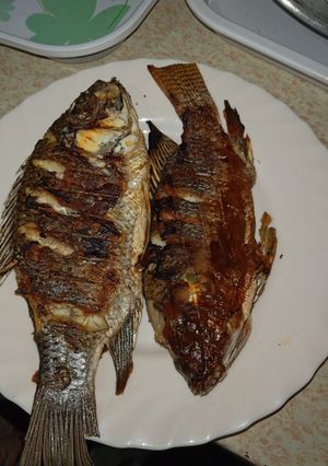 A picture of Simple grilled Tilapia.