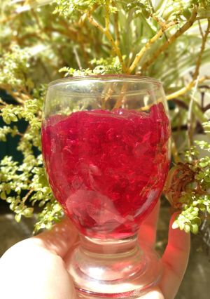Una foto de Gelatina🍷