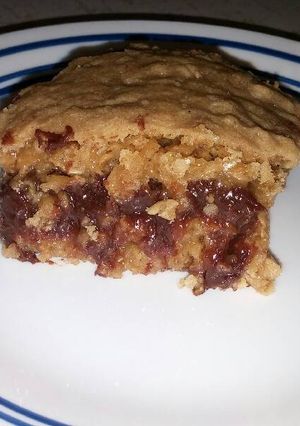 A picture of Fudgie Bars.