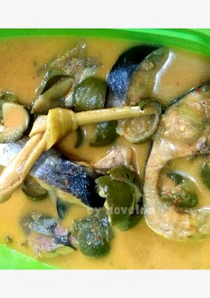 Foto resep Gulai Patin Terong Asam