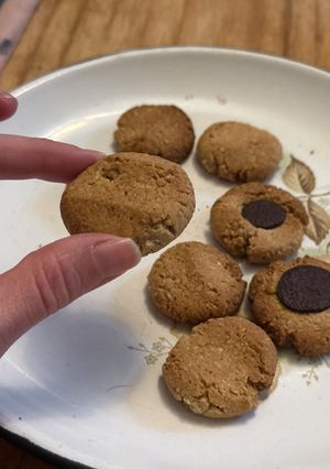 Una foto de Riquísimas Galletitas Proteicas Sin TACC Veganas 5 ingredientes
