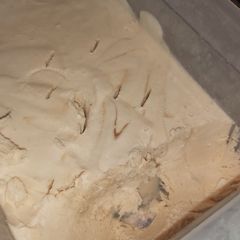 A picture of Vanilla Ice Cream.