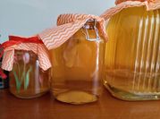 Gambar teh kombucha