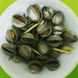 Kerang dara rebus