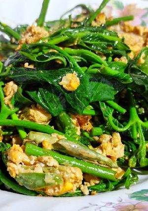 รูปของ ผักเชียงดาผัดไข่