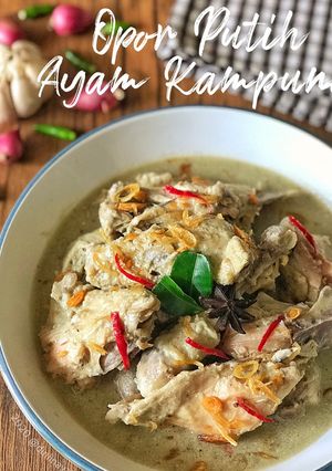Foto resep Opor Putih Ayam Kampung