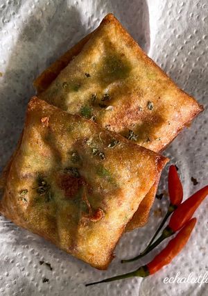Foto resep Martabak Asin Mini