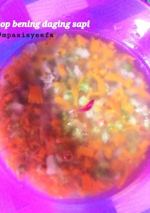 Foto resep Sayur sop mpasi