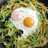 Stir-fried Vegetable Nest & Eggs