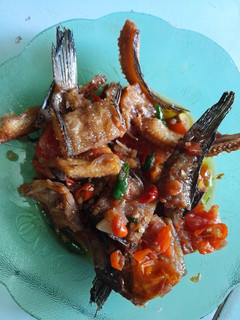Foto resep Tumis ikan asin gabus