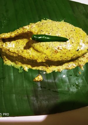 A picture of Ilish paturi.