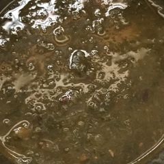 A picture of Daal palak.