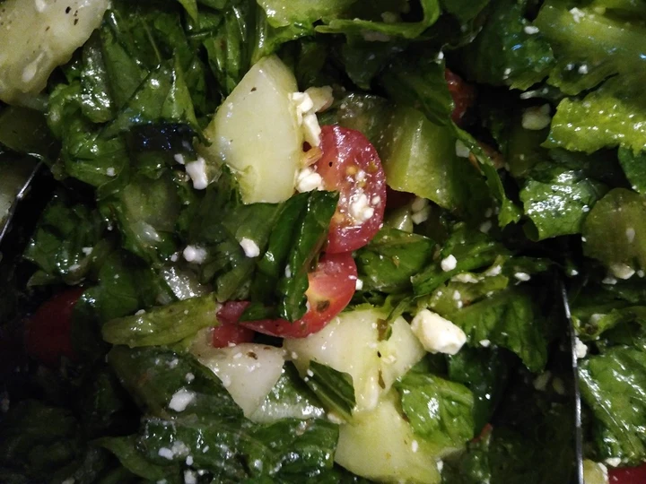 Recipe Greek Salad the So Delicious Appealing