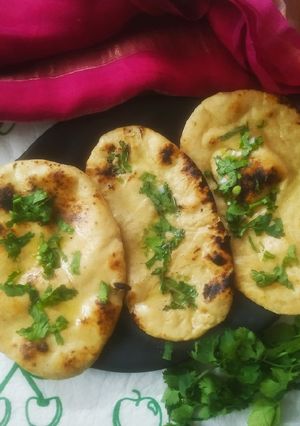 ઘઉં ની નાન (Wheat Naan Recipe In Gujarati) રેસીપી મુખ્ય ફોટો