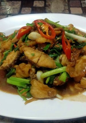 รูปของ เนื้อปลากะพงผัดขึ้นฉ่าย