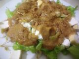 Gado-gado Minimalis