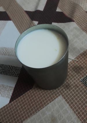 A picture of Lassi.