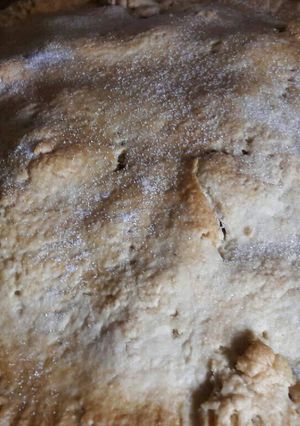 A picture of Mandys plate apple pie.