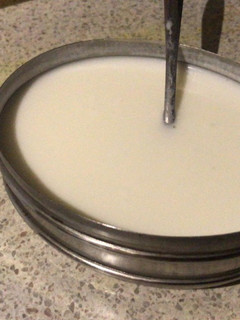 தேங்காய் பால் தயிர் (Thenkaai paal thayir recipe in tamil) செய்முறை முக்கிய புகைப்படம்