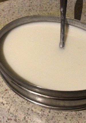 தேங்காய் பால் தயிர் (Thenkaai paal thayir recipe in tamil) செய்முறை முக்கிய புகைப்படம்