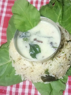 પાલક રાઈસ વીથ પાલક કઢી =(palak rice with palak kadhi in Gujarati) રેસીપી મુખ્ય ફોટો
