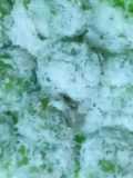 Klepon